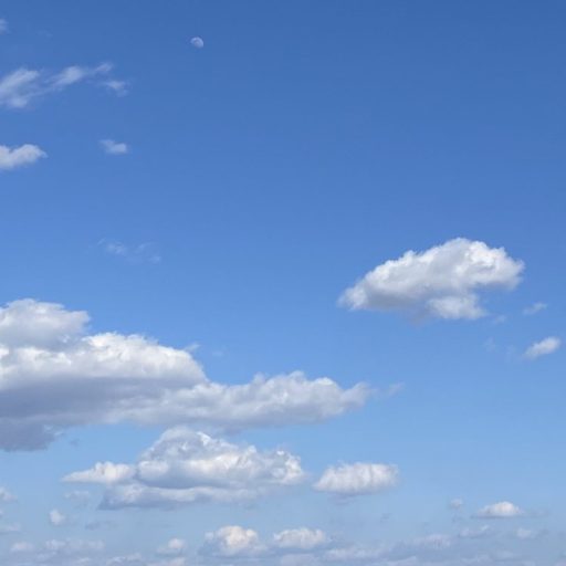 オルビスがオイルクレンジングを？😮試すしかないっしょ！⭐️オルビス ザ クレンジングオイル｜クレンジング｜オイル｜新発売｜新製品｜